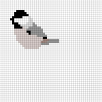 Chickadee