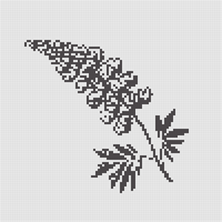 Lupine Image-Small.png