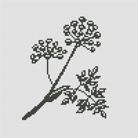 Angelica Image-Small.png