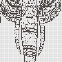 IMG_3905.png