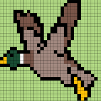 Bandits duck