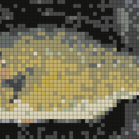 bass.jpg