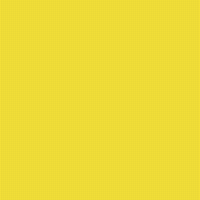 Copy of image.jpg
