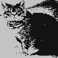 IMG_2184.jpeg