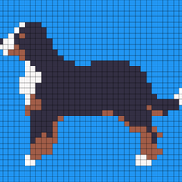 bernese-mountain-dog-purebred-pet-animal-side-view-vector-illustration-isolated-white-background-182587301-1904808780.jpg