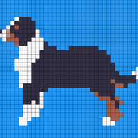Copy of bernese-mountain-dog-purebred-pet-animal-side-view-vector-illustration-isolated-white-background-182587301-1904808780.jpg