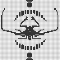 amblpygi.png