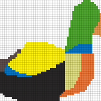 Canard 74x55