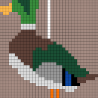 Copy of Duck 