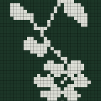 IMG_9910.png