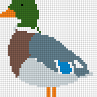 Ducky duck