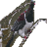 kererū.jpeg