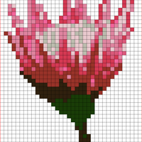TREE_KingProtea-700x700.jpg