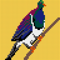 kererū v3.jpeg