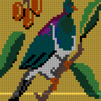color kereru 2.jpeg