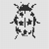 IMG_8385.jpeg