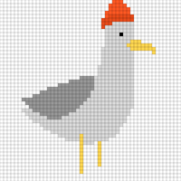 seagull