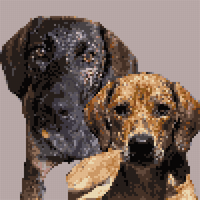 B2B6B2F5-F273-4136-8C3C-7BCA1AAF61B4.jpeg