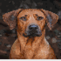 360_F_314321875_YaDkoihJyISxjYv1ao36tUr5iyFPva6J.jpg