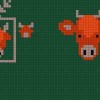 Highland Cow