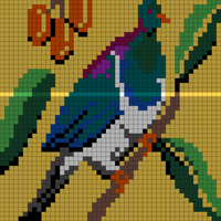 Copy of color kereru 2.jpeg