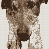 IMG_1414.png
