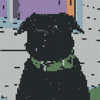 1000048209.png