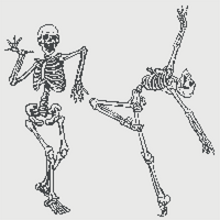 IMG_4694.png