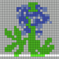 Bluebonnet