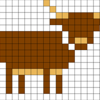 Copy of Highland Cow