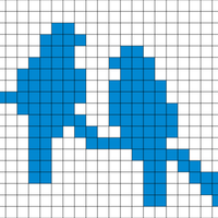 test bird