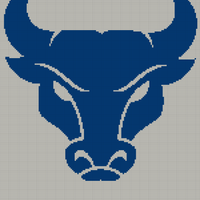 Bulls