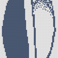 mussel design.jpg