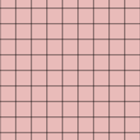 IMG_8041.PNG