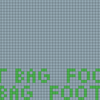 Foot bag