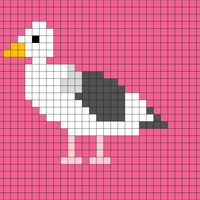 seagull