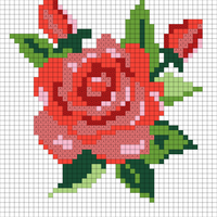 rose1