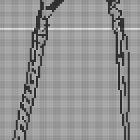 Monkey X Ray.jpg