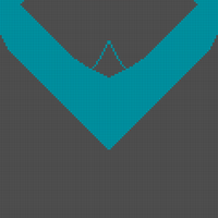 Copy of Nightwing Front 2.0