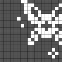 Navi