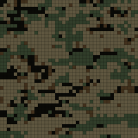 Copy of marpat-the-marine-camouflage-pattern-988366_300x.jpg
