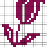 tulip