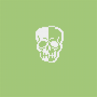 Copy of Copy of Hannah's Skull Hat