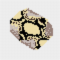 Copy of Python