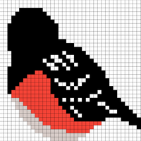 Spotted Towhee