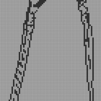 Monkey X Ray.jpg