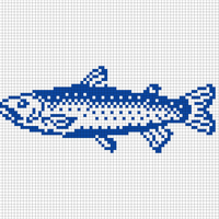 Copy of Copy of Fish