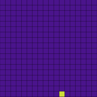 rubber ducky - marc