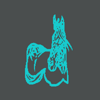 OIP-1708281465.jpg