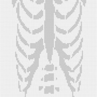 white-chest-bone-tshirt-print-260nw-2032044305.jpg
